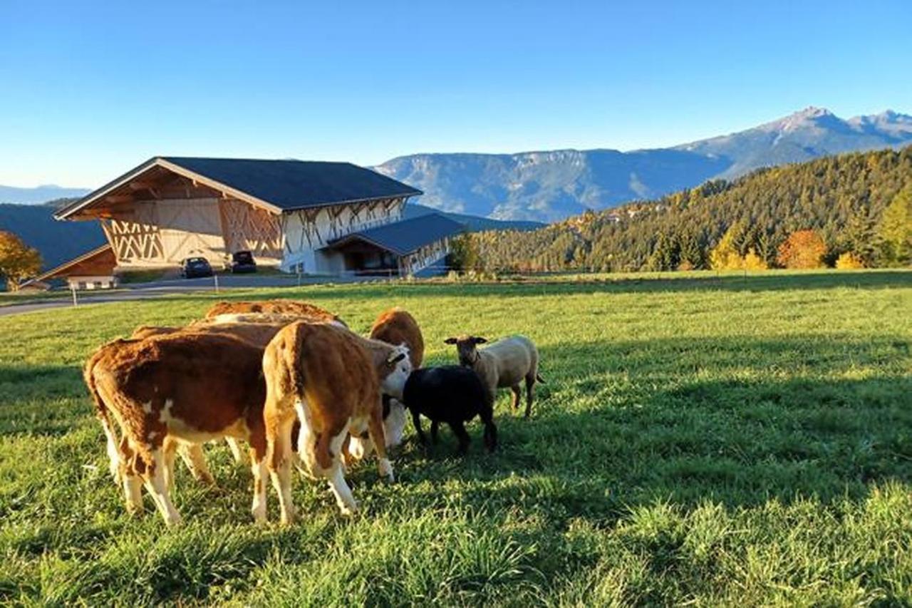 Haughof Apartement Laerchenweide Verano Luaran gambar